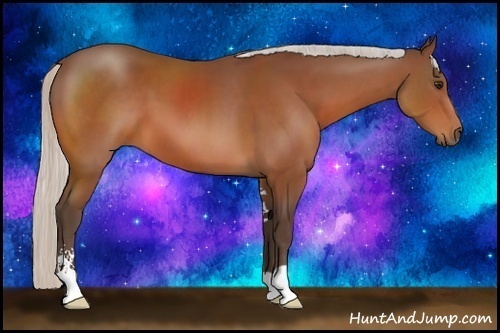 Horse Color:Silver Bay Sabino 