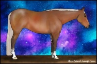 Horse Color:Silver Bay Sabino