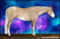 Horse Color:Silver Black Pearl Sabino 