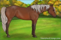 Horse Color:Silver Bay