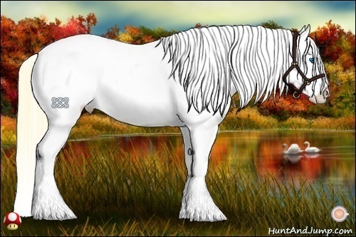Horse Color:Buckskin Pearl Mushroom Splash Tobiano Varnish