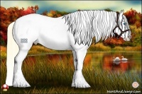 Horse Color:Buckskin Pearl Mushroom Splash Tobiano Varnish 