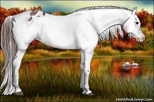 Horse Color:Brown Varnish Brindle