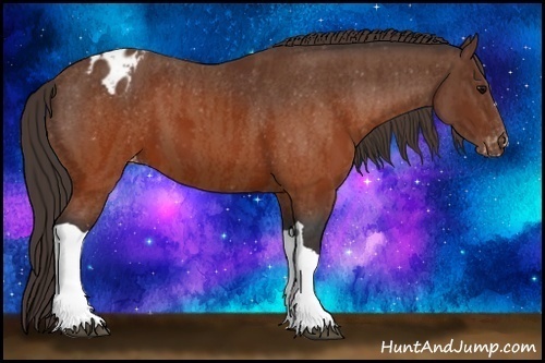 Horse Color:Brown Appaloosa Brindle