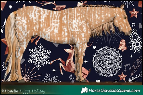 Horse Color:Liver Chestnut Pearl Appaloosa  Brindle