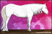 Horse Color:Chestnut Appaloosa  Brindle