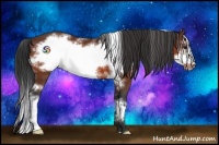 Horse Color:White Spotted Bay Frame