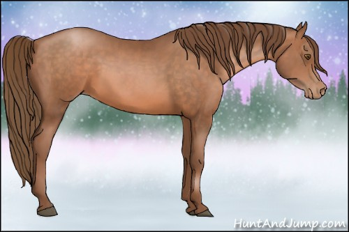 Horse Color:Brown Pearl 