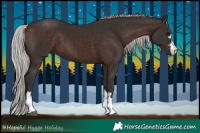 Horse Color:Silver Brown 