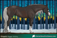 Horse Color:Silver Brown