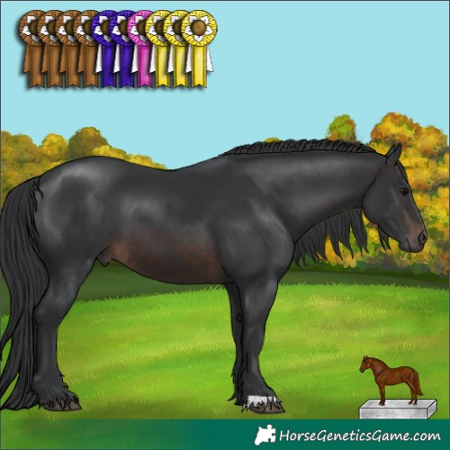 Horse Color:Brown 