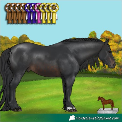 Horse Color:Brown 