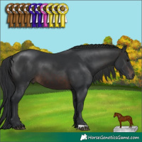 Horse Color:Brown 