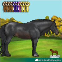 Horse Color:Brown 
