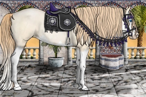 Horse Color:Buckskin Roan Pearl Splash Rabicano 