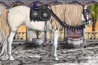 Horse Color:Buckskin Roan Pearl Splash Rabicano 