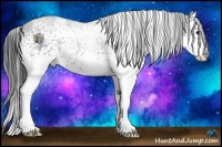 Horse Color:White Spotted Blue Roan Splash 