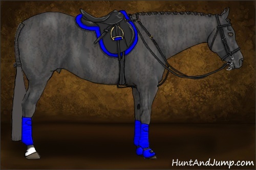 Horse Color:Black  Brindle