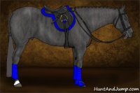 Horse Color:Black  Brindle