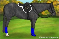 Horse Color:Black  Brindle