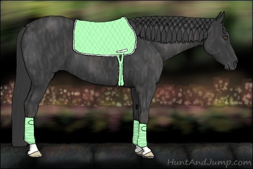 Horse Color:Black  Brindle