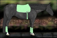 Horse Color:Black  Brindle