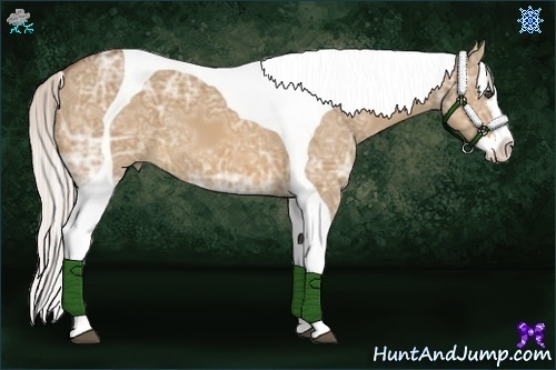 Horse Color:Silver Bay Ice Dun Splash Tobiano