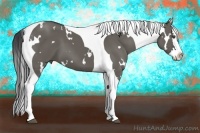 Horse Color:White Spotted Grullo Splash Tobiano 