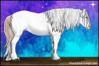 Horse Color:Liver Red Roan Appaloosa