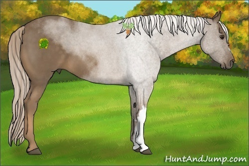 Horse Color:Chocolate Palomino 