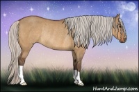 Horse Color:Silver Bay Dun Rabicano 