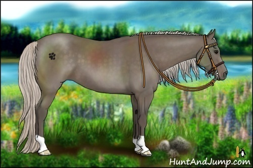 Horse Color:Silver Black