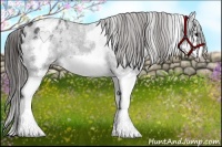 Horse Color:White Spotted Blue Roan Splash Frame Varnish