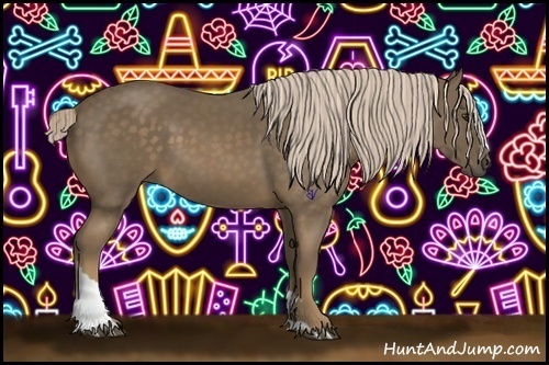 Horse Color:Chocolate Palomino Tobiano 