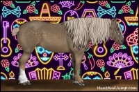 Horse Color:Chocolate Palomino Tobiano 