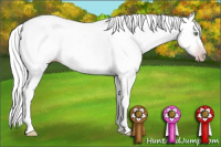 Horse Color:Gray Silver Amber Cream Champagne Roan Dun Splash Tobiano Frame Appaloosa Rabicano 