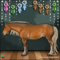Horse Color:Chocolate Palomino Mushroom 