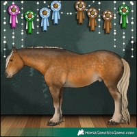 Horse Color:Chocolate Palomino Mushroom 