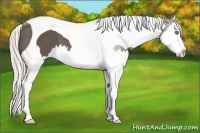 Horse Color:Silver Black Sabino Splash Tobiano