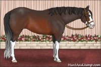Horse Color:Brown Splash