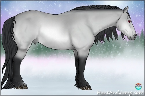 Horse Color:Bay Chinchilla Rabicano 