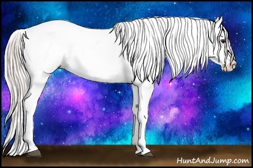 Horse Color:Silver Bay Sabino Varnish