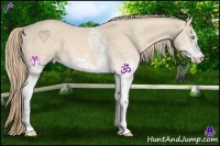 Horse Color:White Spotted Perlino Roan