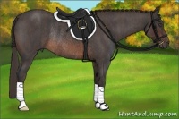 Horse Color:Brown Roan Rabicano  Brindle