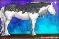Horse Color:Silver Black Chinchilla Splash 