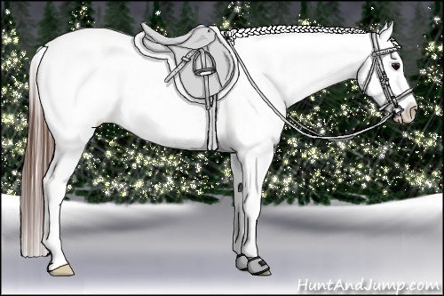 Horse Color:Brown Roan Blanket Rabicano Brindle