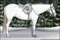Horse Color:Brown Roan Blanket Rabicano Brindle