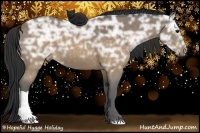 Horse Color:Buckskin Ice 
