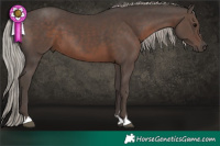 Horse Color:Silver Black 