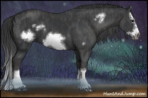 Horse Color:Black Splash Frame Brindle